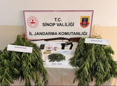 Sinop'ta Uyusturucu Operasyonu Açiklamasi 2 Gözalti