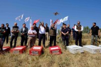 Yozgat'ta 800 Kinali Keklik Dogaya Salindi Haberi