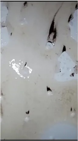 Üsküdarlılar yaz ortasında temiz suya hasret kaldı... Musluklardan çamur akıyor