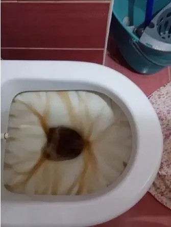 Üsküdarlılar yaz ortasında temiz suya hasret kaldı... Musluklardan çamur akıyor