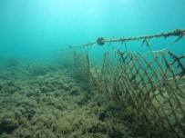 Balikesir Büyüksehir, Denizleri Hayalet Aglardan Arindiriyor