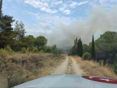 Çanakkale'deki Orman Yangini Kontrol Altina Alindi