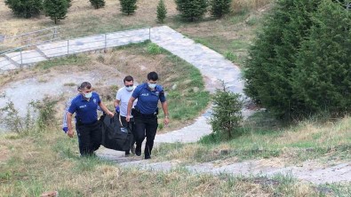 Kocaeli'de Bulunan Cesedin Bir Aydir Kendisinden Haber Alinamayan Kadina Ait Oldugu Ortaya Çikti