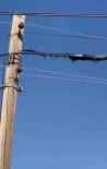 Mardin'de Sicaklardan Elektrik Telleri Eridi