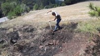 Yol Kenarina Atilan Sigara Yangina Neden Oldu Haberi