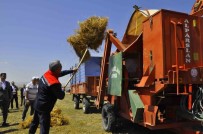 Yozgat'ta Yesil Mercimek Ekim Alani Yüzde 30 Artarak 224 Bin Dekara Yükseldi Haberi