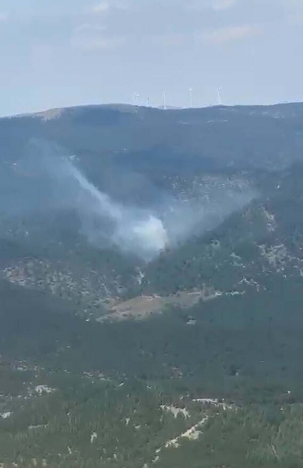 Balıkesir'de orman yangını çıktı