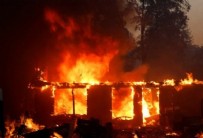 ABD'de orman yangını: 145 bin dönümden fazla alan kül oldu