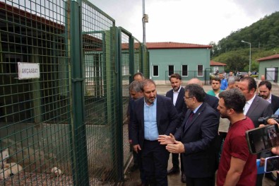AK Parti Genel Baskan Yardimcisi Sen Açiklamasi 'It Taparlarin Ve It Savarlarin Akliyla Hiçbir Sey Yapilamaz'