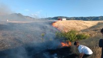 Bingöl'de Kirsal Alanda Çikan Yangin Söndürüldü Haberi