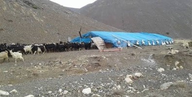 Ercis'te Çobanlar Arasinda Kavga Açiklamasi 1 Ölü, 3 Yarali