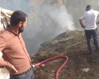 Hakkari'de 2 Bin 500 Bag Ot Yandi