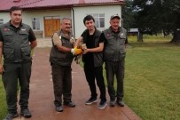 Yarali Sahine Ilk Müdahale Ormancilardan Haberi
