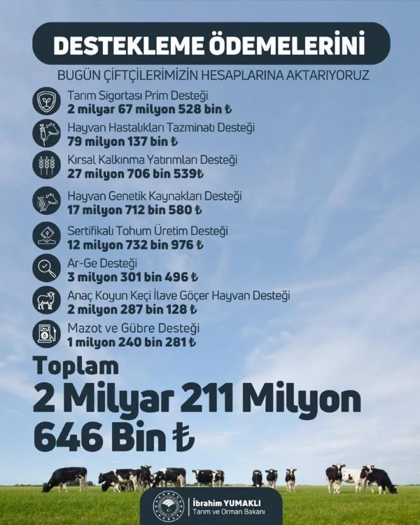 Bakan duyurdu! Ödemeler bugün hesaplara yatıyor