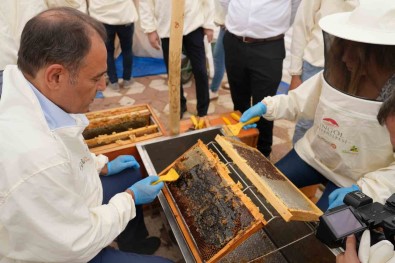 Bingöl'de Bal Hasadi Basladi