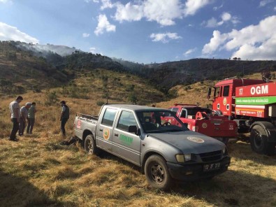 Bingöl'de Çikan Yanginlar Söndürüldü