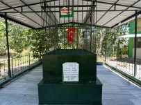 Bolca Nine Türbesi, 500 Yildir Ziyaretçilerini Agirliyor