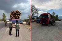 Kaçak Orman Emvaline Geçit Yok Haberi