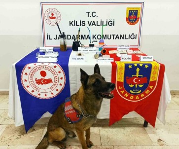 Kilis'te Uyusturucu Operasyonu Açiklamasi1 Gözalti
