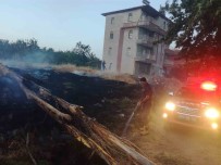 Malatya'da Aniz Yangini