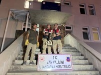 Yarali Halede Bulunan Kaya Kartali Tedavi Altina Alindi Haberi