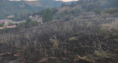 Bingöl'de Otluk Alandaki Yangin Ormana Siçramadan Söndürüldü