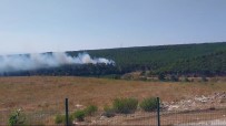Yalova'da 2 Ayri Noktada Orman Yangini Haberi
