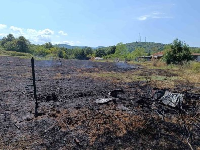 Yalova'da Iki Noktada Çikan Orman Yanginlari Ile Ilgili Savcilik Sorusturma Baslatti