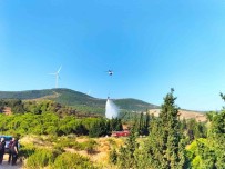 Yalova'da Iki Noktada Çikan Yanginlar Kontrol Altina Alindi Haberi