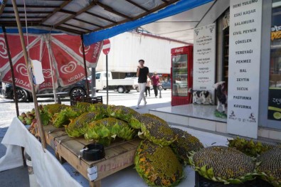 Ayçiçegi Tezgahlarda Yerini Aldi