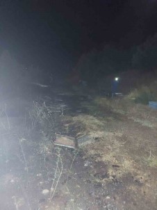 Bingöl'deki Örtü Yangininda Ari Kovanlari Da Zarar Gördü