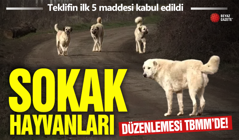 Sahipsiz hayvanlara yönelik kanun teklifinin ilk 5 maddesi kabul edildi