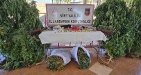 Siirt'te Evinde Kenevir Eken Zanli Tutuklandi Haberi