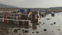 Van'da Saganak Yagmur Ari Kovanlarini Vurdu Haberi