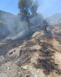 Yayladagi'nda Orman Yangini
