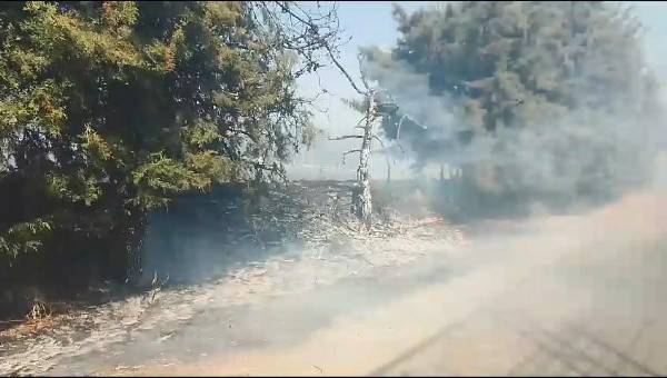 Silivri'de anız yangını: D-100 Edirne istikameti trafiğe kapatıldı