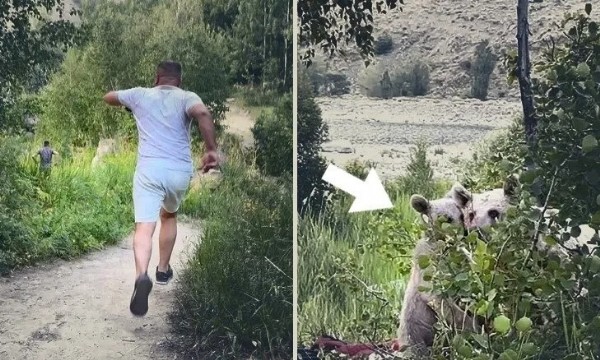 Piknikte 'Ayı' paniği! Arkalarına bakmadan kaçtılar...