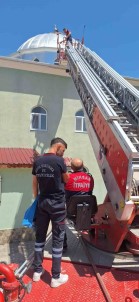 Cami Kubbesindeki Yuvadan Düsen Leylek Yavrusu Kurtarildi