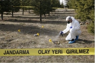 Jandarma Kriminal 15 Süpheli Olayi Aydinlatti