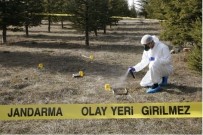 Jandarma Kriminal 15 Süpheli Olayi Aydinlatti