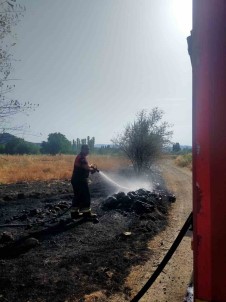 Osmancik'taki Örtü Yangininda Agaçlar Zarar Gördü