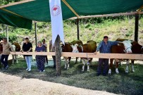 Sinop'ta 265 Köylüye 40 Milyon TL Ferdi Kredi Destegi Haberi