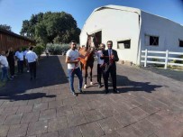 64 Tayin Satisindan 26 Milyon 640 Bin TL Gelir Elde Edildi