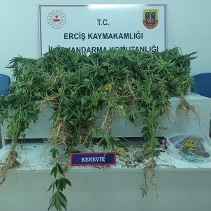 Ercis'te Çesitli Miktarlarda Uyusturucu Madde Ele Geçirildi