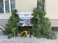 Ev Ve Arazilerine Kenevir Eken Sahislara Jandarmadan Operasyon