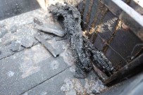 Orman Yangininda 15 Kovan Ari Telef Oldu