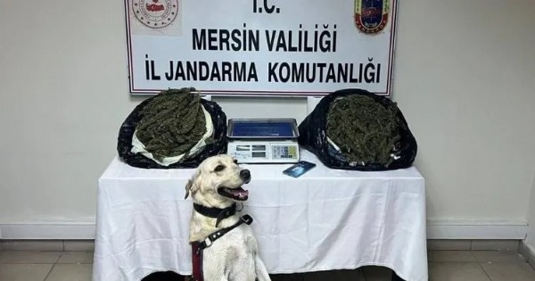 Mersin'de 3 adrese baskın: 14 kilo uyuşturucu ele geçirildi