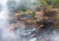 Bahçe Yangini Itfaiye Ekipleri Söndürdü