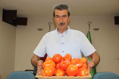 Domates Tarlada 1,7 TL Pazarda 15 TL