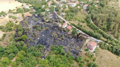 Aniz Yangini Evlere Siçramadan Söndürüldü